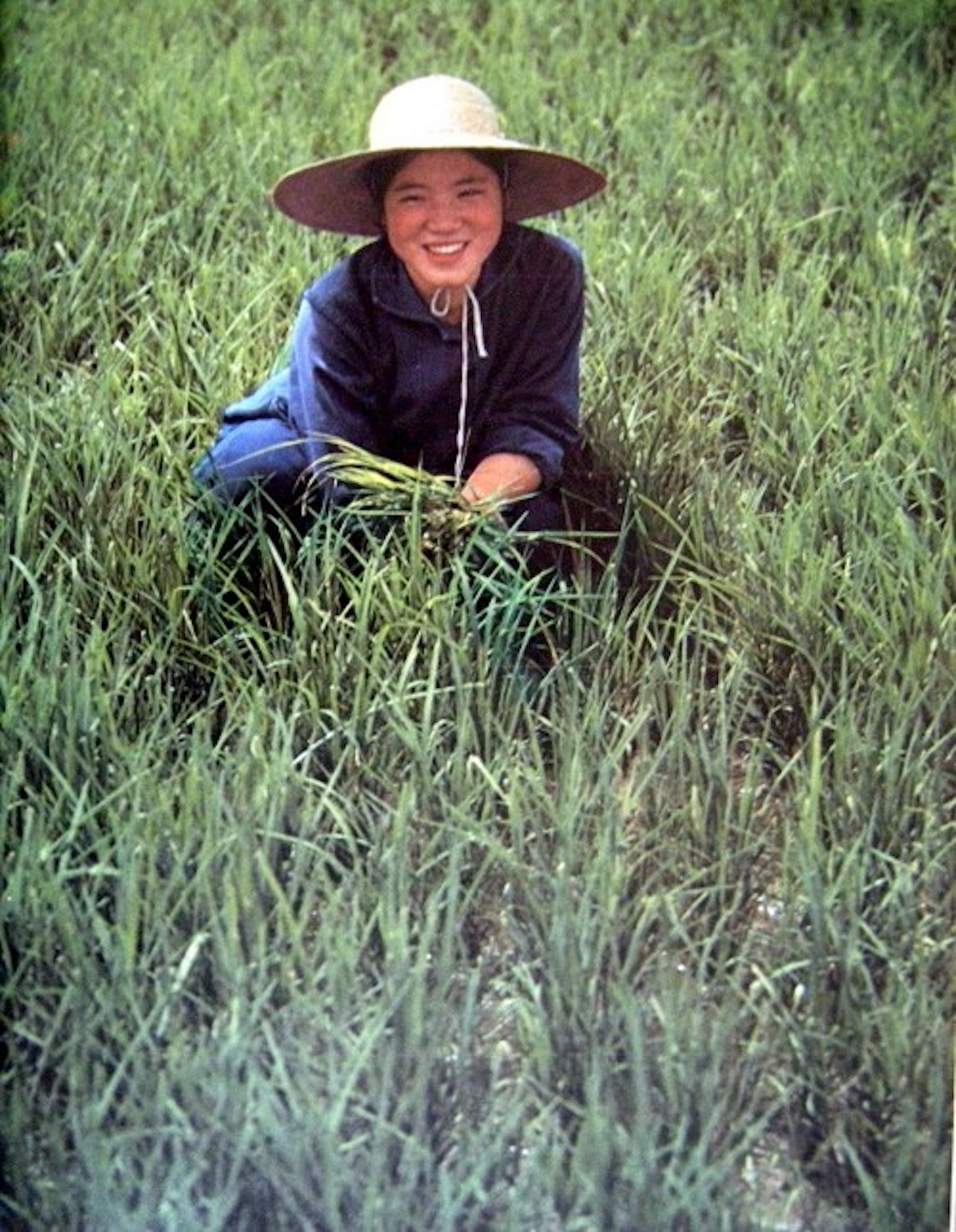 スーツ French China Work Wear Setup High Quality Custom Men Women Work Clothing Workwear Sets